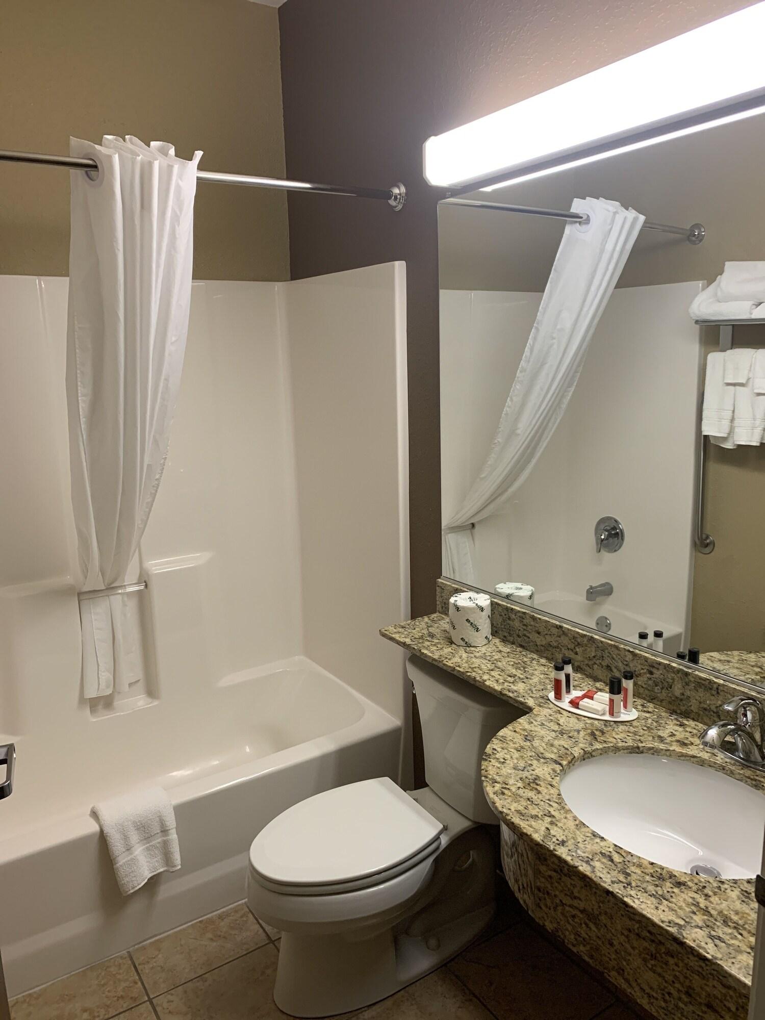 Hotel Microtel & Suites-sayre, Pa